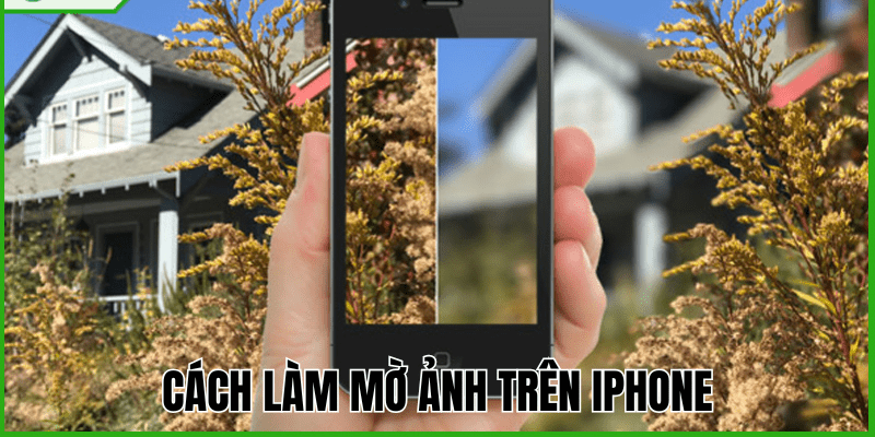 Anh Thumb bai viet 1 min 2