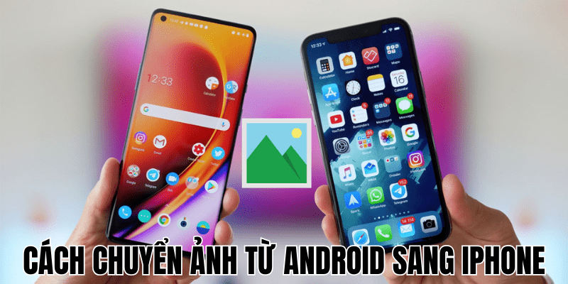 Anh Thumb bai viet 24 min