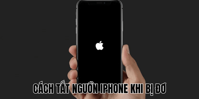 Anh Thumb bai viet 26 min 1