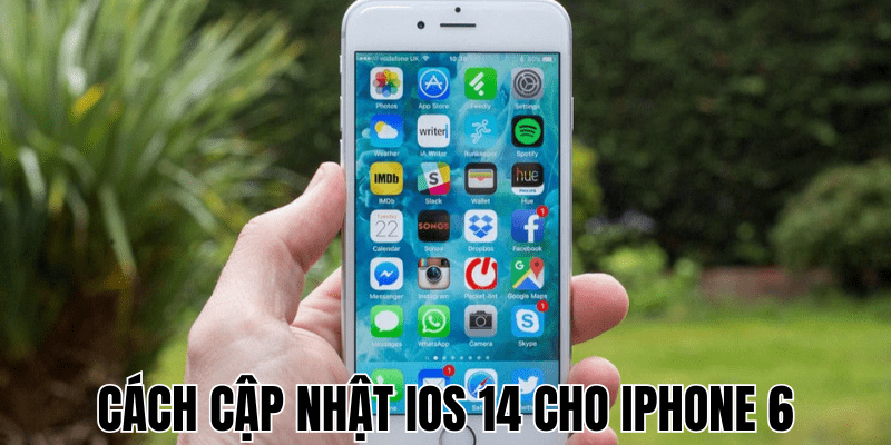 Anh Thumb bai viet 6 min